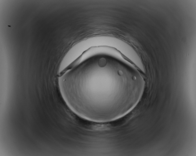 X0000083040465200703022052