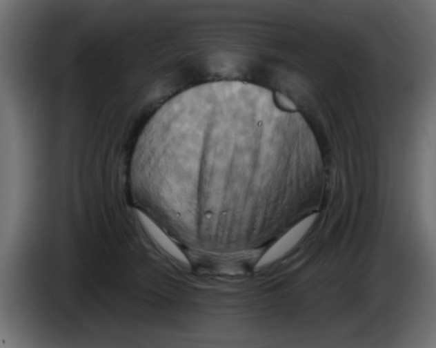 X0000083040466200703022052