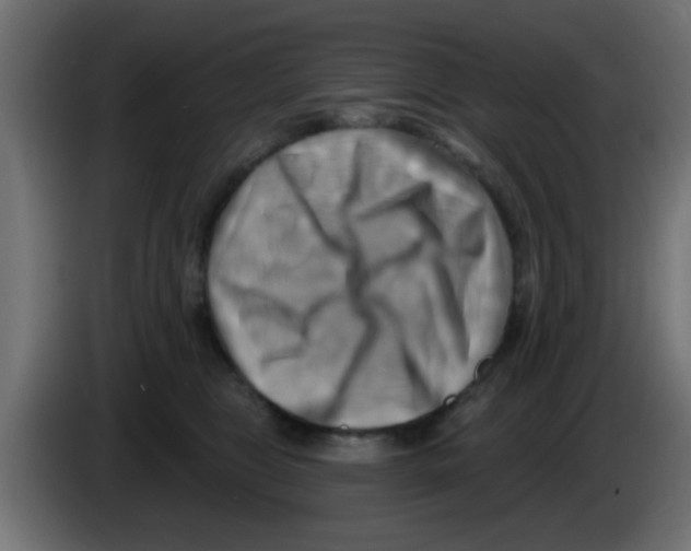 X0000083040469200703022052