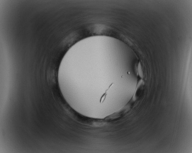 X0000083040470200703022052