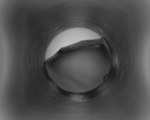 X0000083040471200703022052