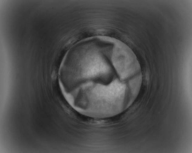X0000083040472200703022052