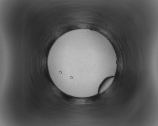 X0000083040473200703022052