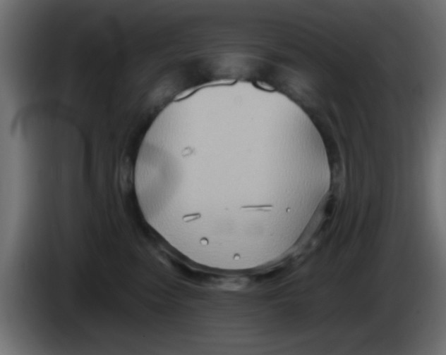 X0000083040474200703022052