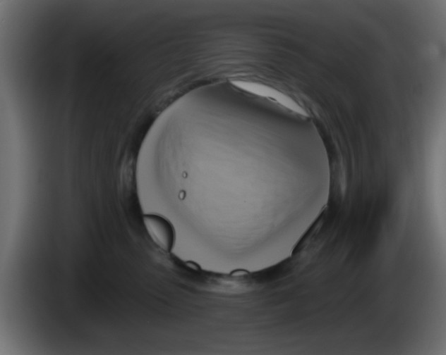 X0000083040475200703022052
