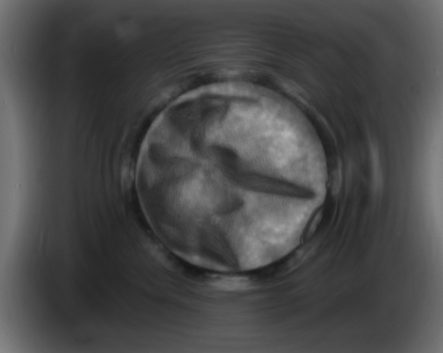 X0000083040476200703022052