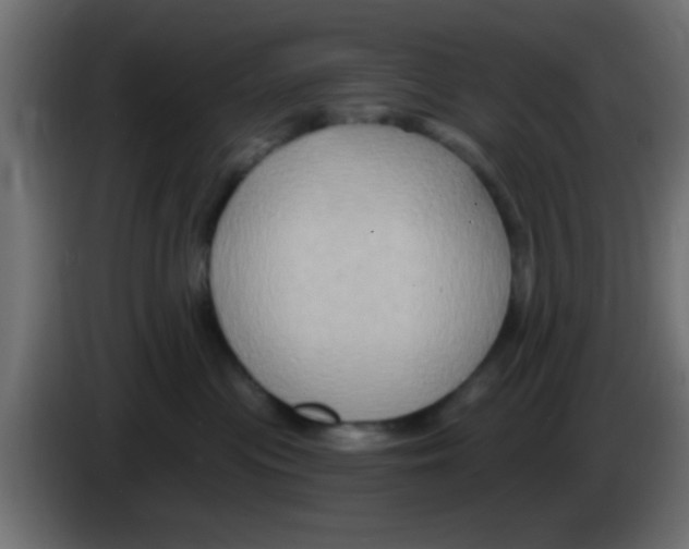 X0000083040477200703022052