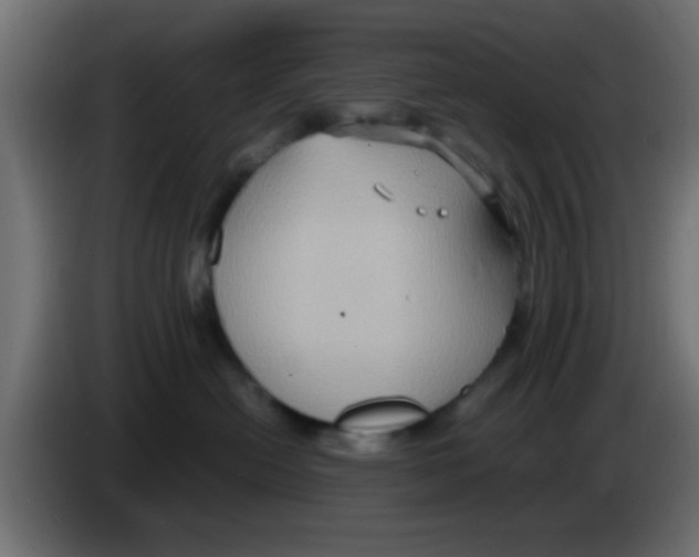 X0000083040478200703022053