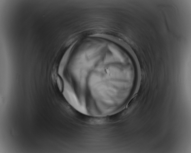 X0000083040479200703022053