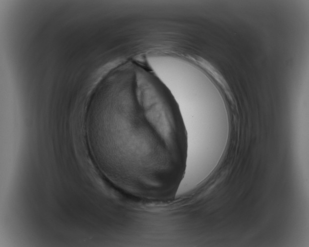 X0000083040481200703022052