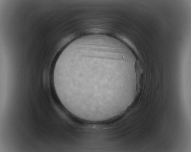 X0000083040482200703022052