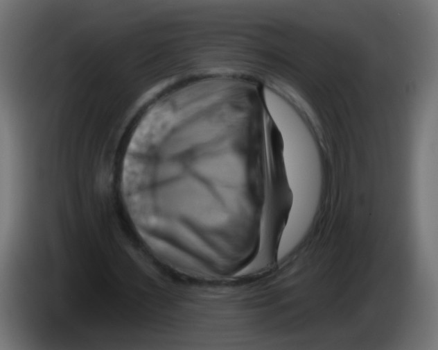 X0000083040483200703022052