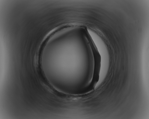 X0000083040484200703022052