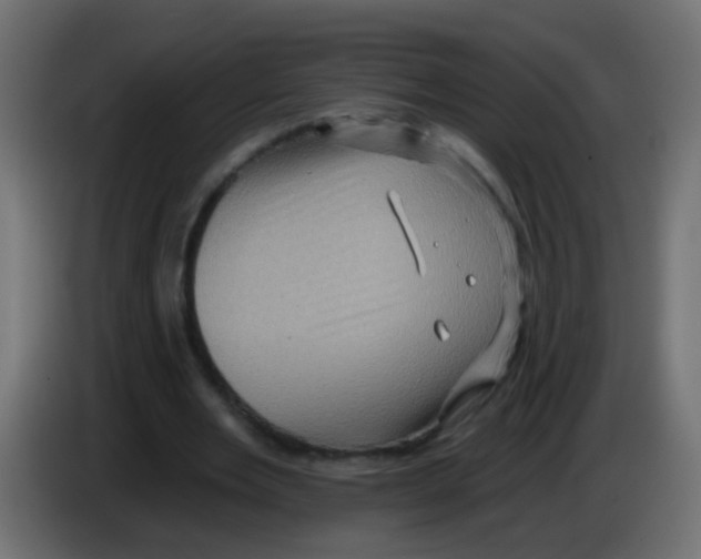 X0000083040485200703022052