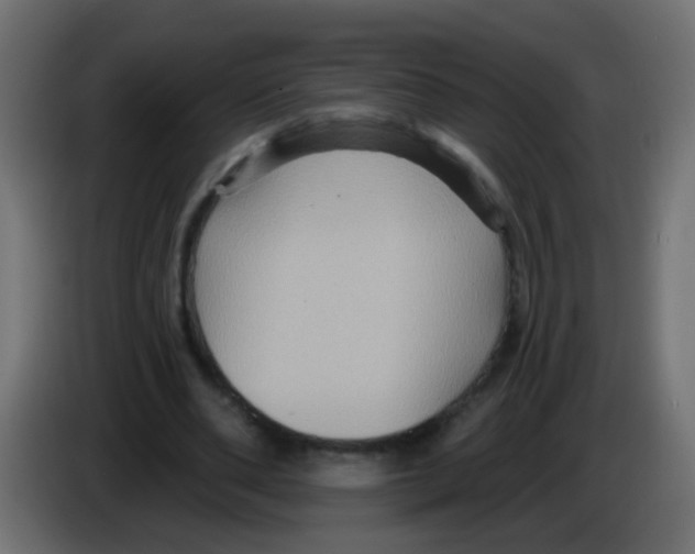 X0000083040486200703022052