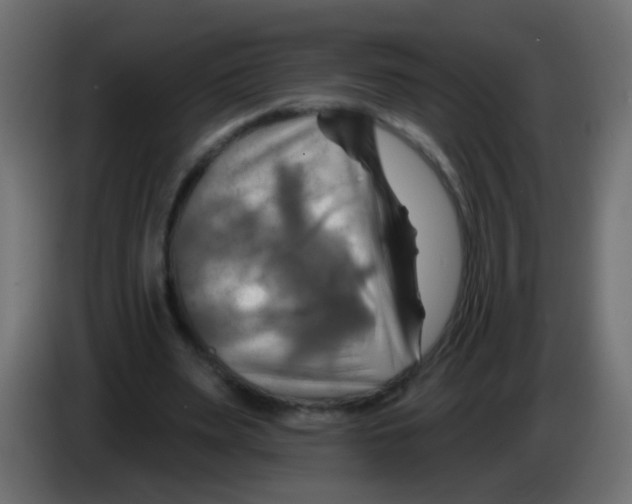 X0000083040487200703022052