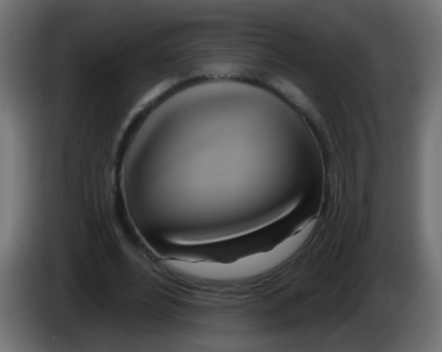 X0000083040488200703022052
