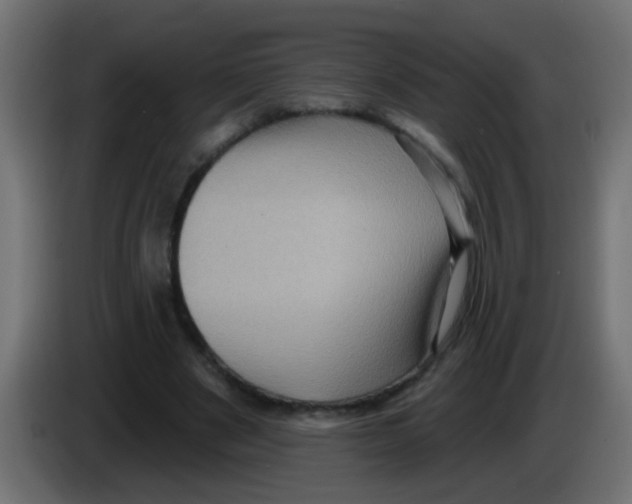 X0000083040489200703022052