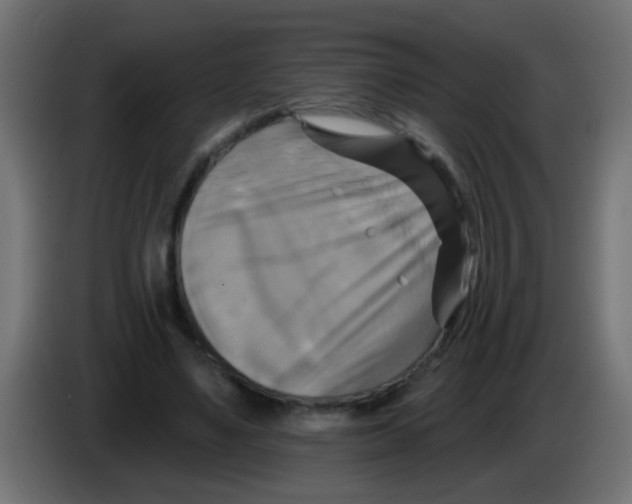 X0000083040491200703022052