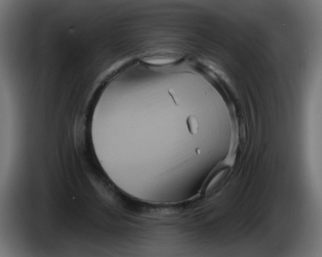 X0000083040492200703022052