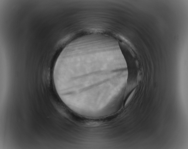 X0000083040494200703022052