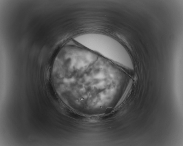 X0000083040495200703022052