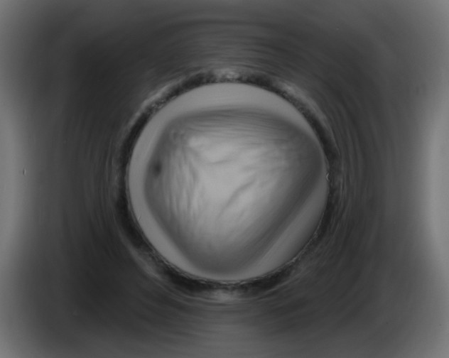 X0000083040496200703022052
