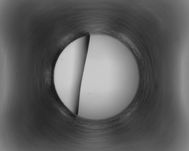 X0000083040497200703022052
