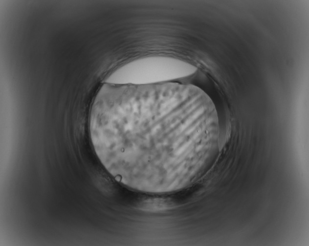 X0000083040499200703022052