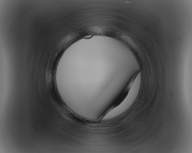 X0000083040500200703022052