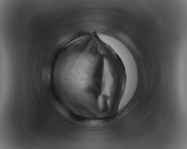 X0000083040501200703022052