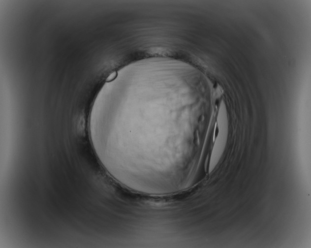 X0000083040502200703022052