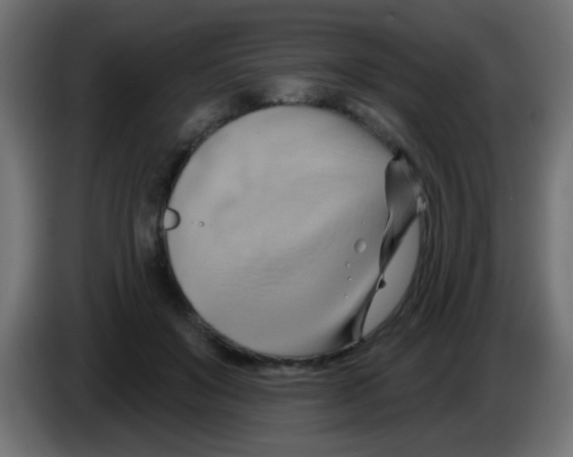X0000083040503200703022052