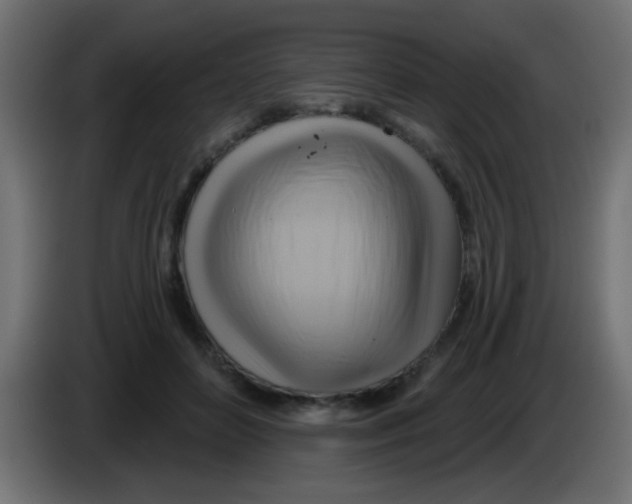 X0000083040504200703022052