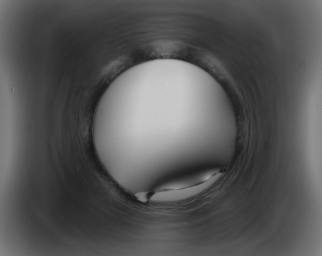 X0000083040505200703022052