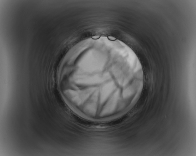 X0000083040506200703022051