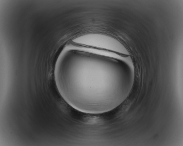X0000083040507200703022051