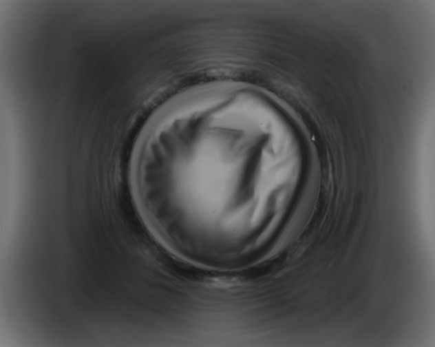 X0000083040508200703022051
