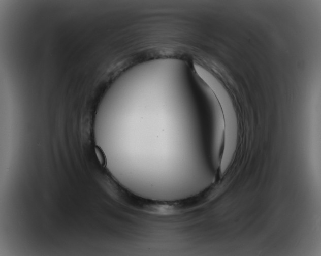 X0000083040509200703022051