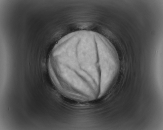 X0000083040510200703022051
