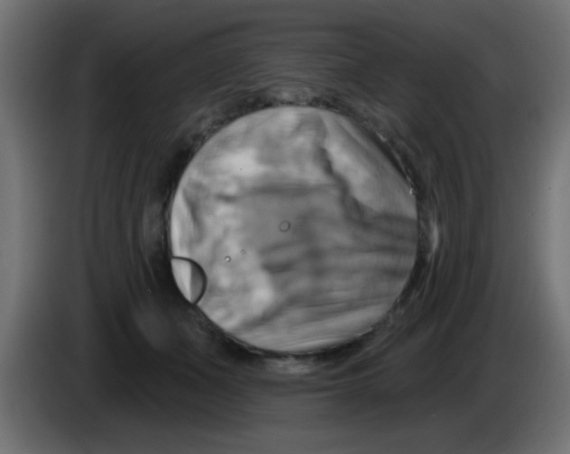 X0000083040511200703022051