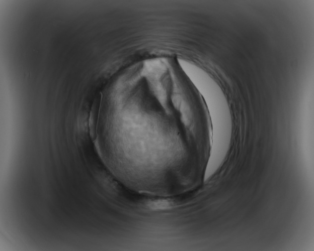 X0000083040513200703022051