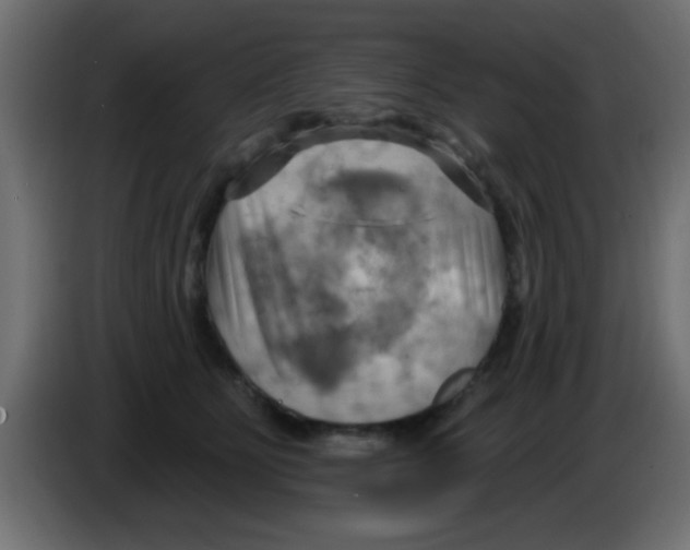 X0000083040515200703022051