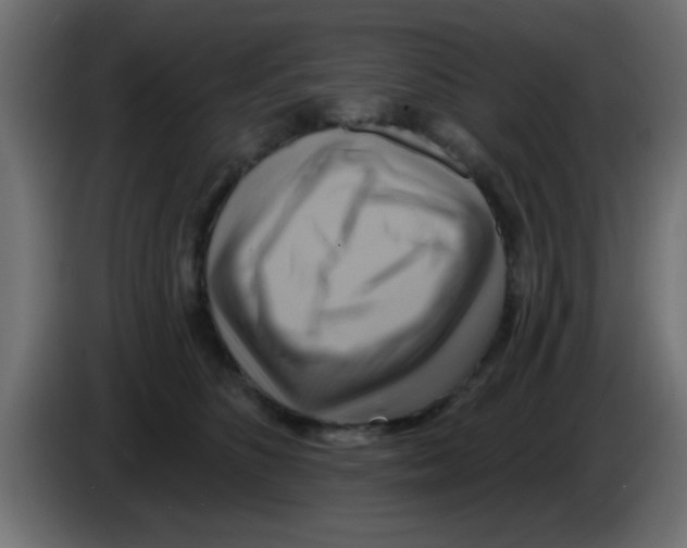X0000083040516200703022051