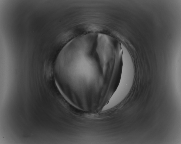 X0000083040517200703022051
