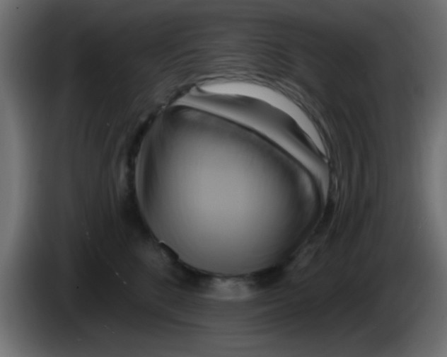 X0000083040520200703022051