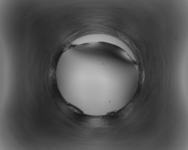 X0000083040521200703022051