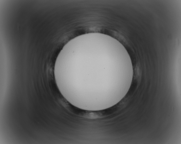 X0000083040522200703022051