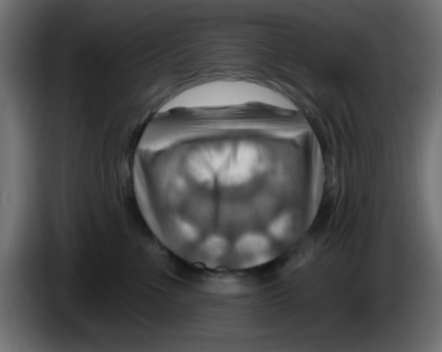 X0000083040523200703022051