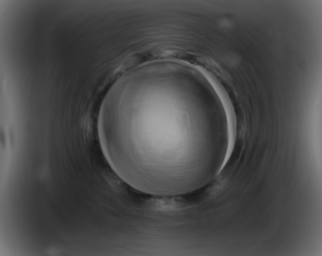 X0000083040524200703022051